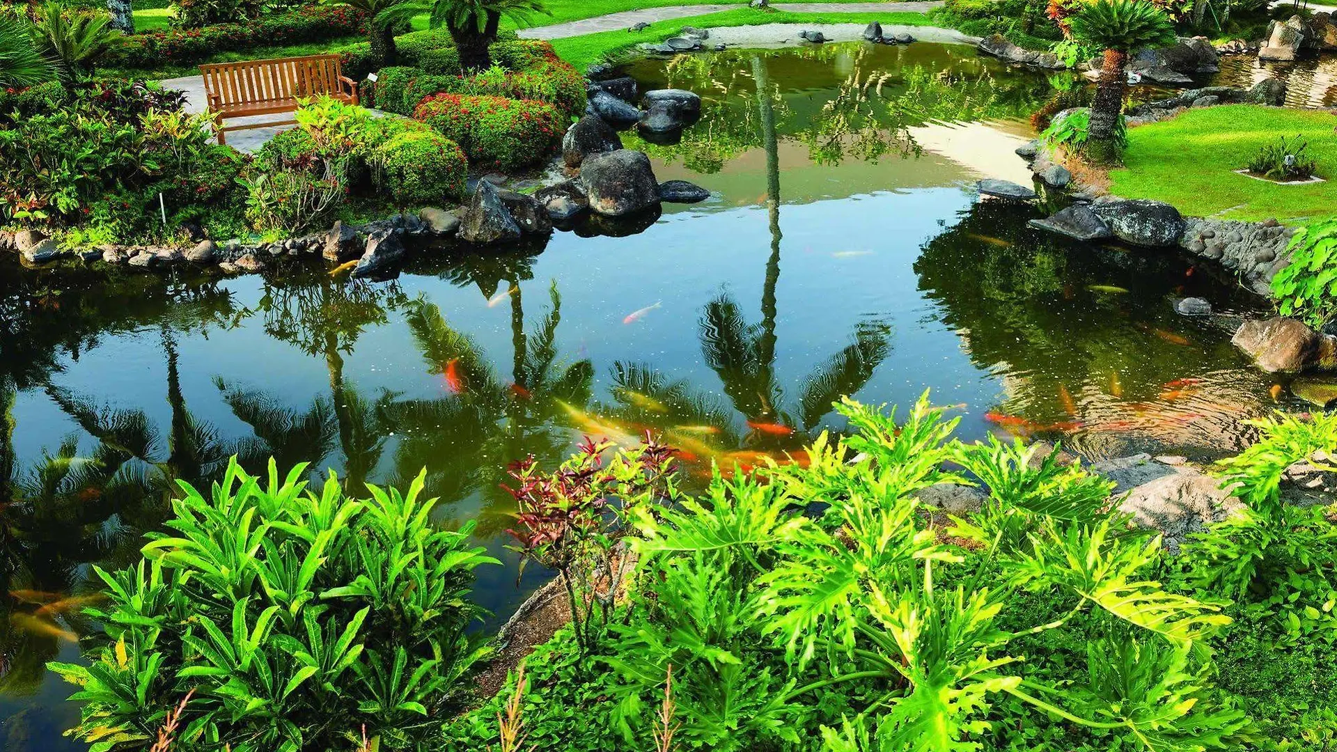 Otel Marriott'S Kaua'I Beach Club Lihue